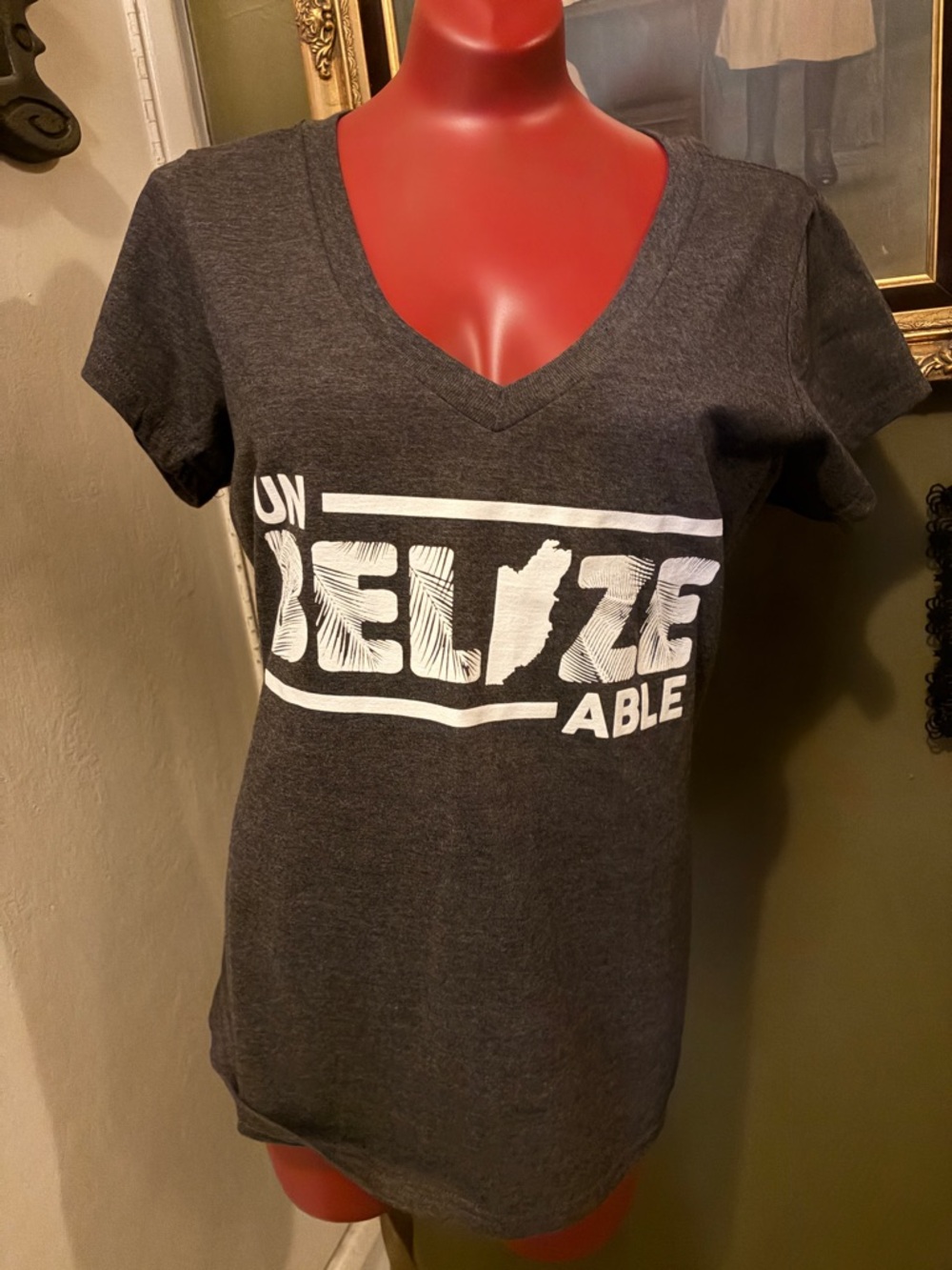 Belize V Neck “Unbelizable” T-Shirt gray XXL